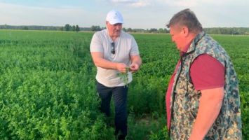 Lukashenko inspects experimental fields